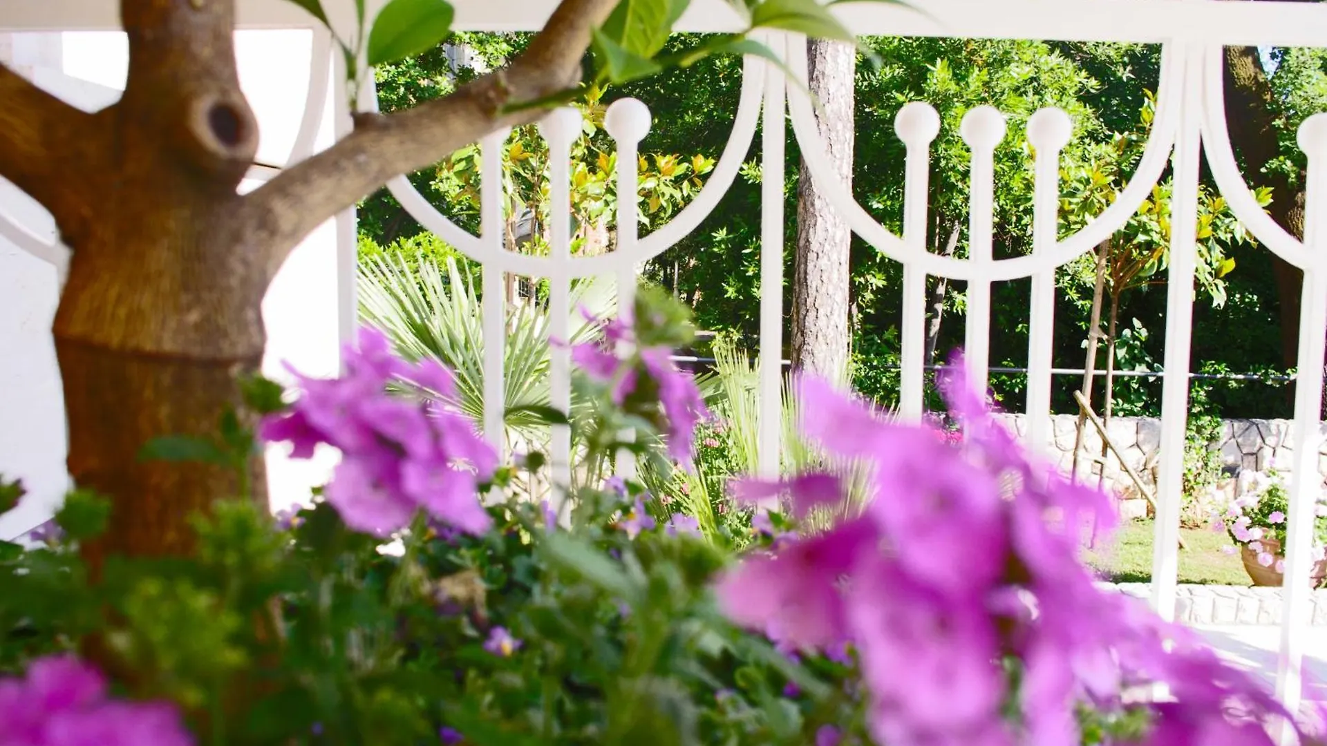 Guest House Villa Dagmar - Exclusive Crikvenica 4*,