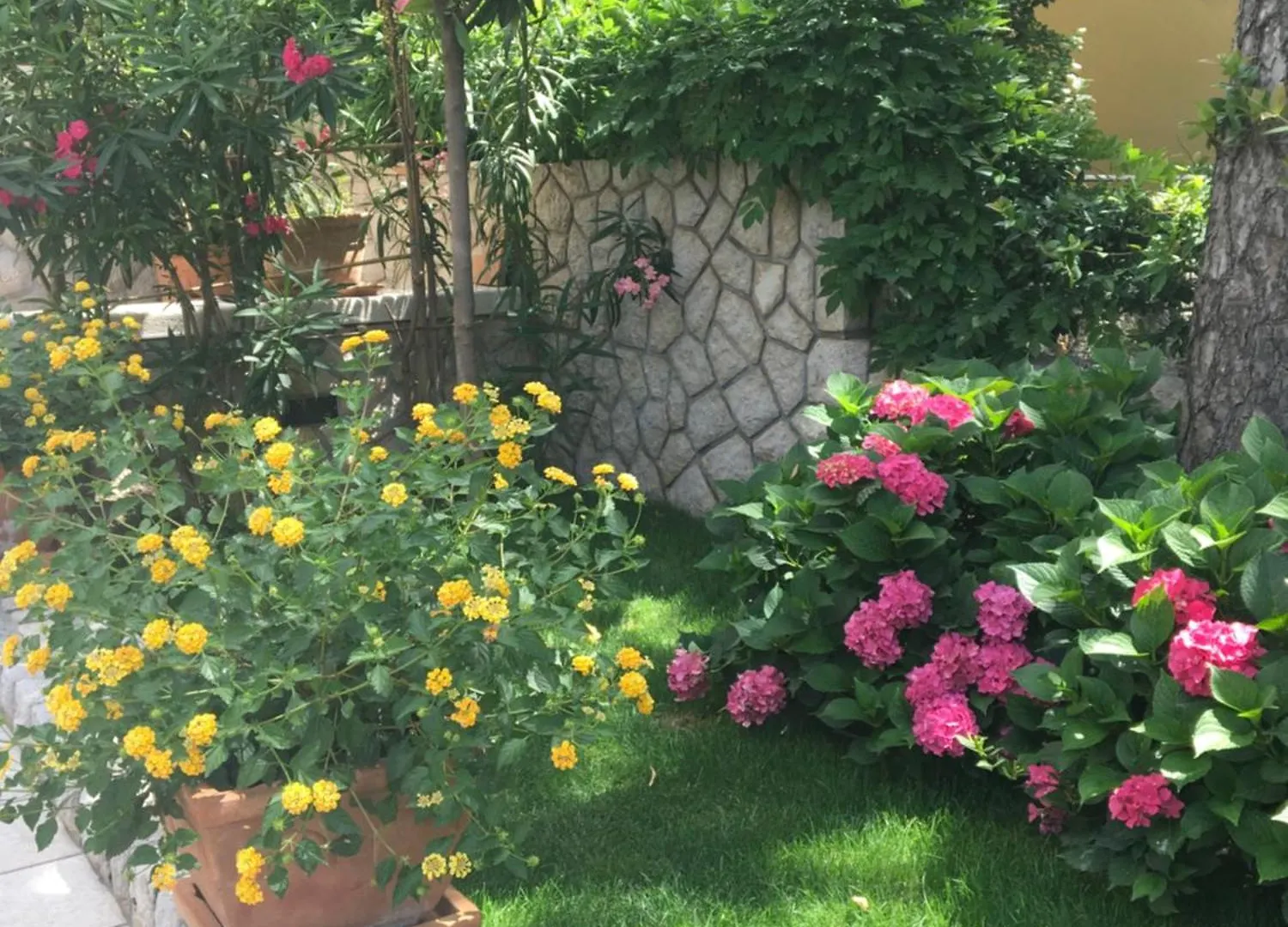 Aparthotel Guest House Villa Dagmar - Exclusive Crikvenica