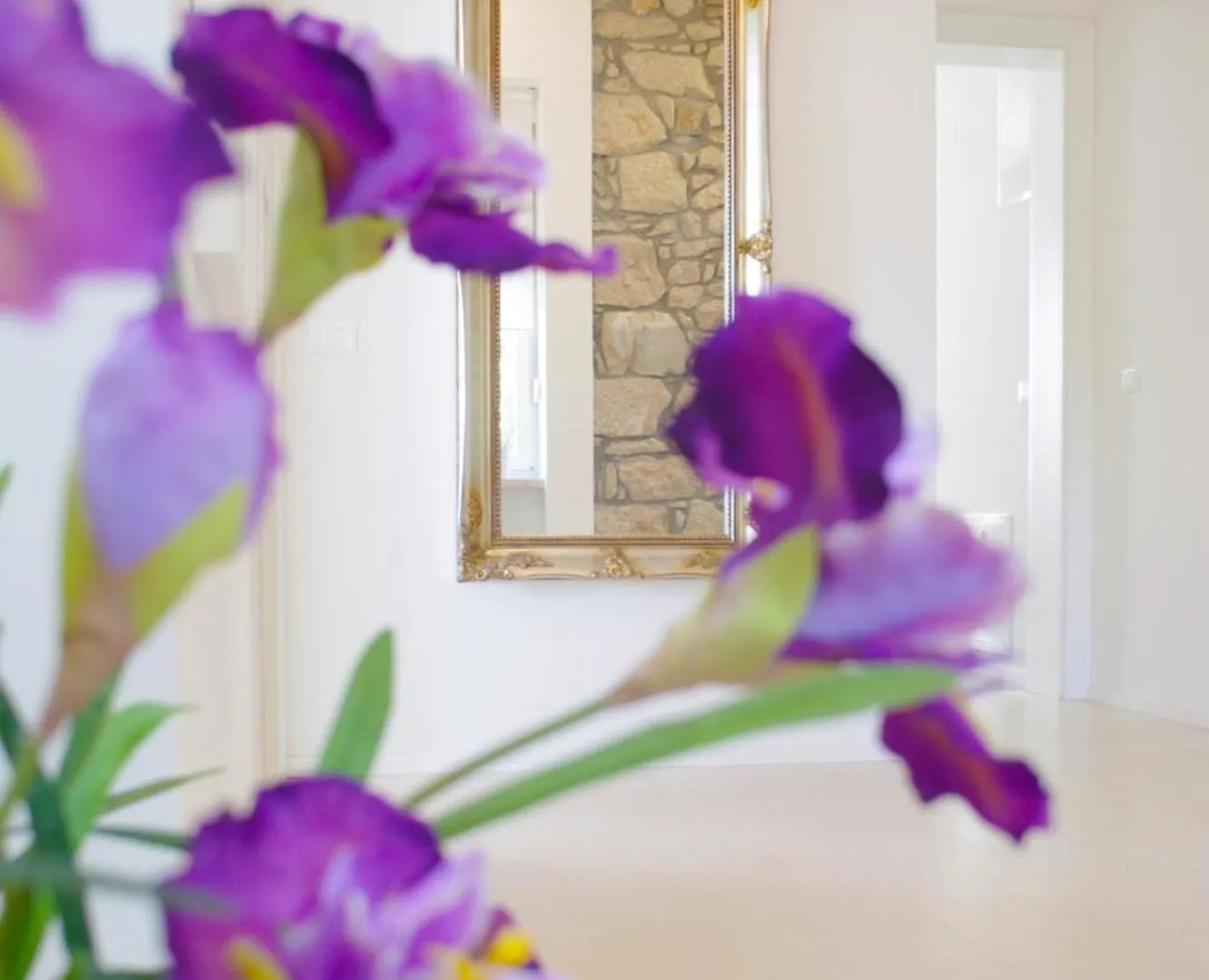 Guest House Villa Dagmar - Exclusive Crikvenica Apart-hotel